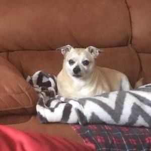 Meet your Posher, Cheryl